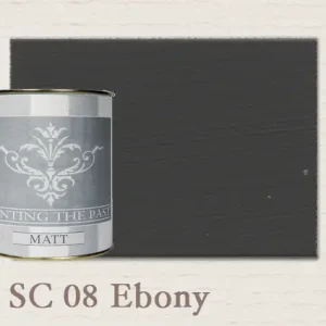 Populair Painting The Past Matt Ebony SC08